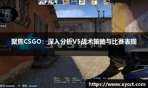 BG视讯官网